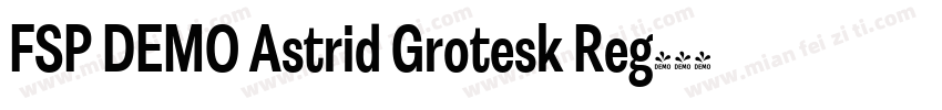 FSP DEMO Astrid Grotesk Reg字体转换